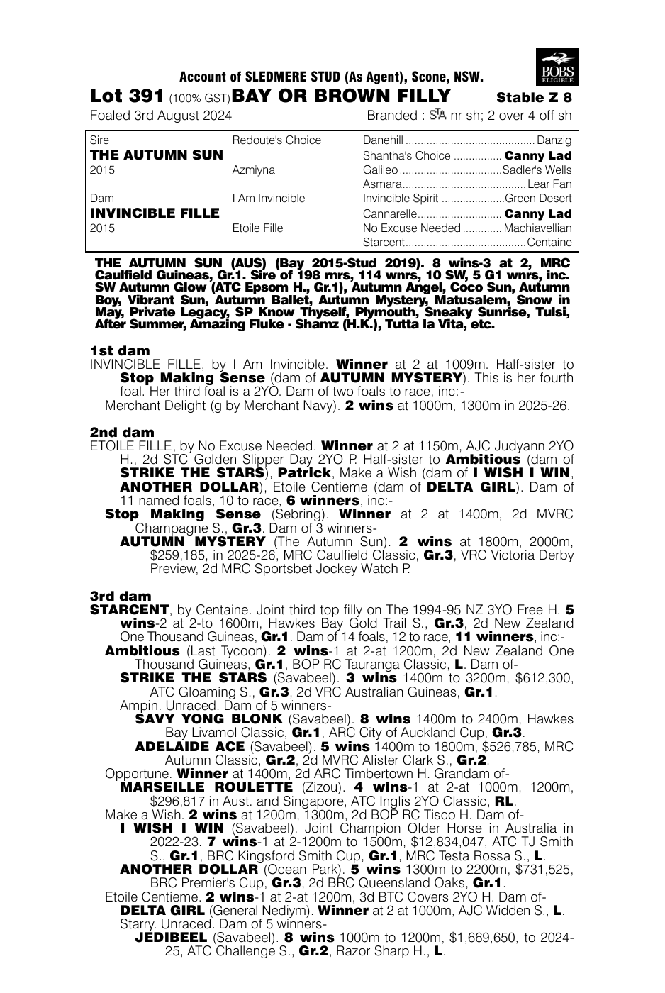 Pedigree - Lot 391