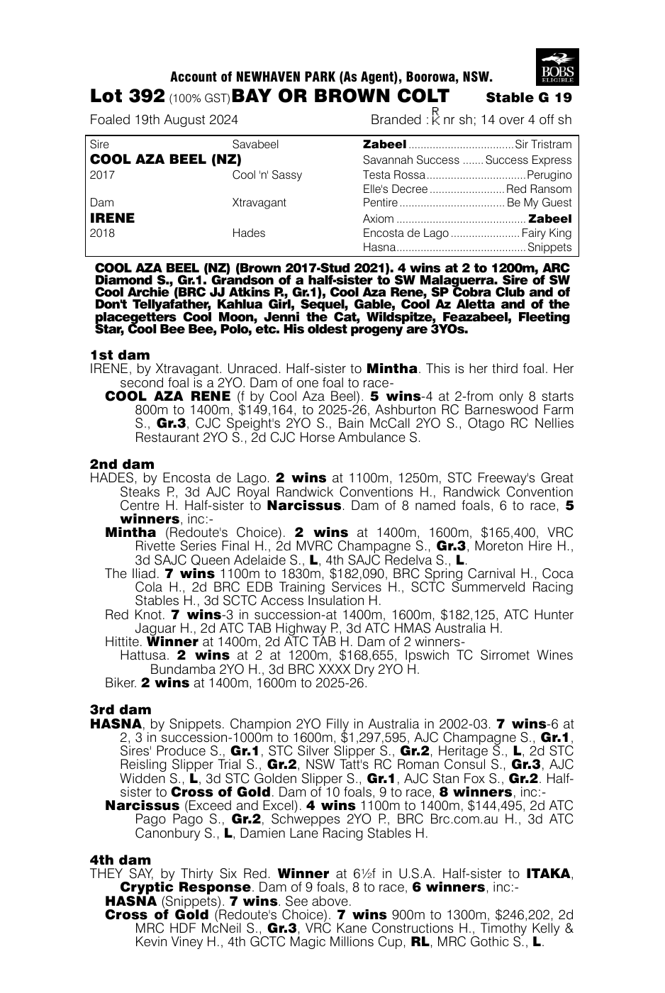 Pedigree - Lot 392
