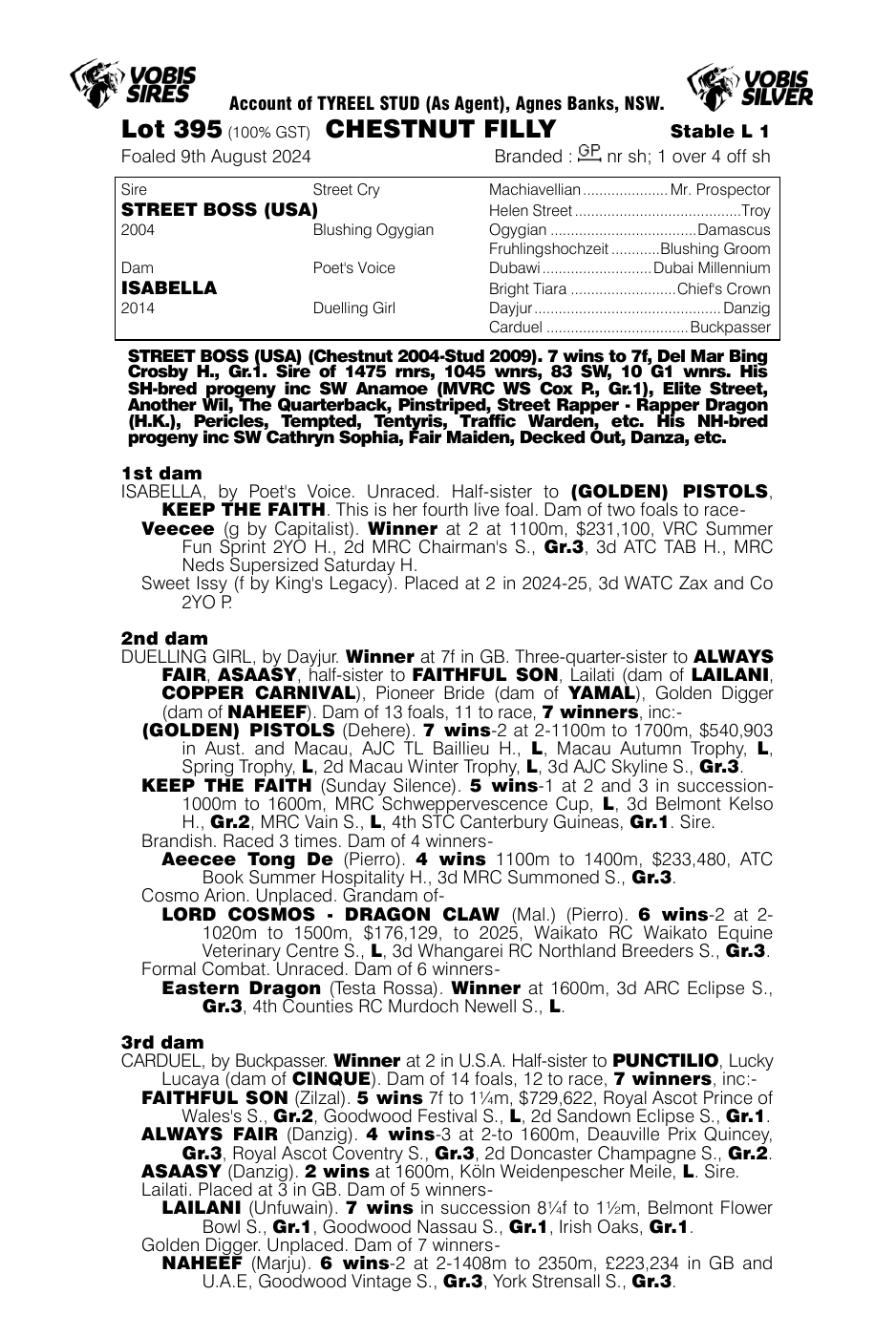 Pedigree - Lot 395