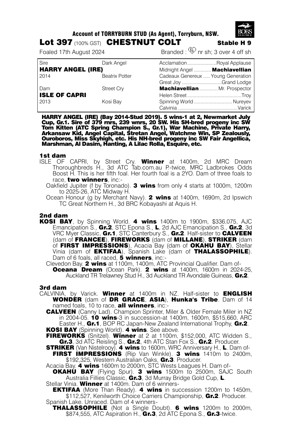 Pedigree - Lot 397