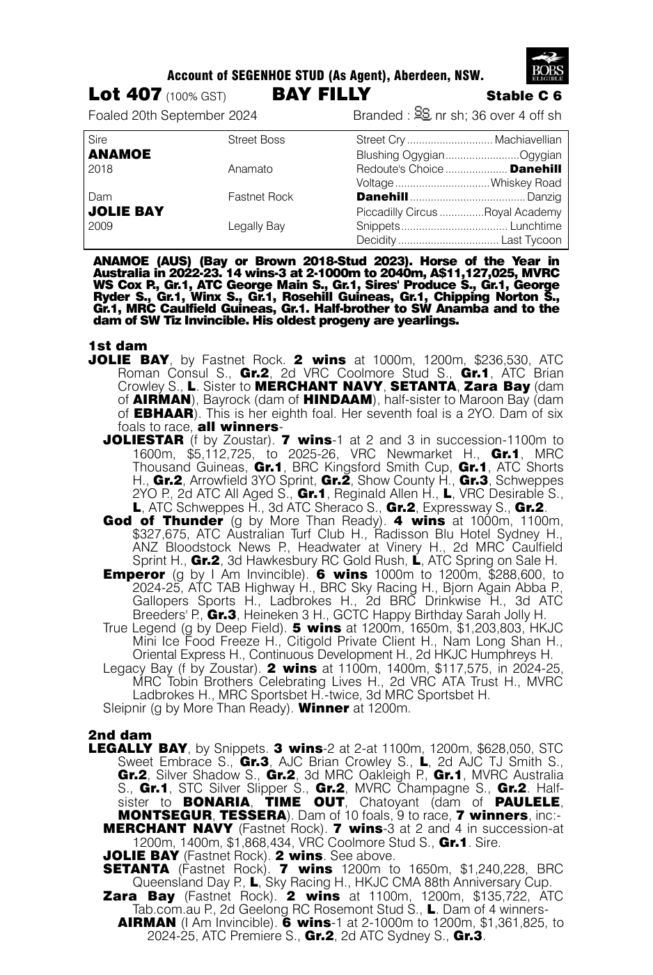 Pedigree - Lot 407