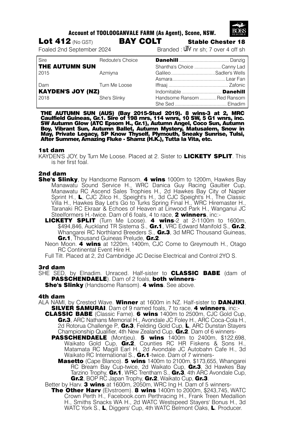 Pedigree - Lot 412