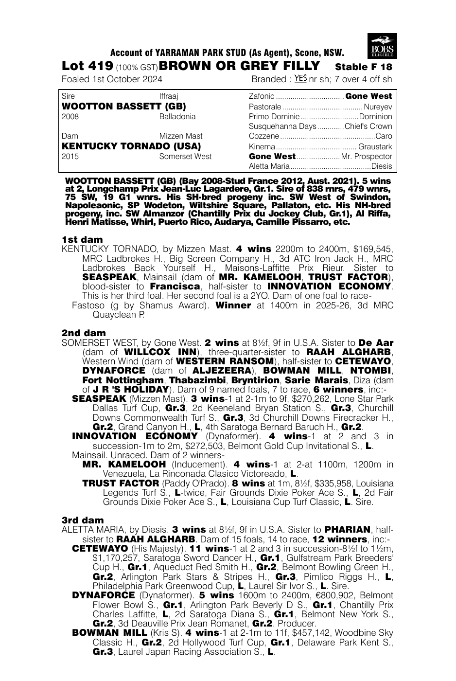 Pedigree - Lot 419