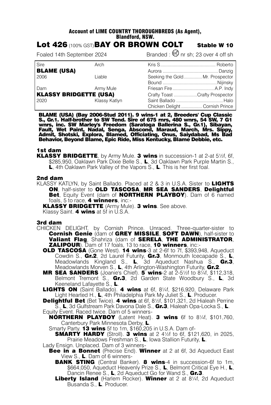 Pedigree - Lot 426