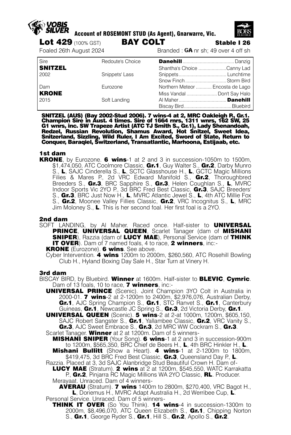 Pedigree - Lot 429