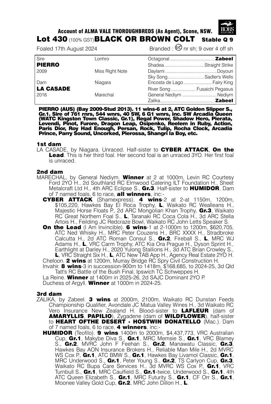 Pedigree - Lot 430