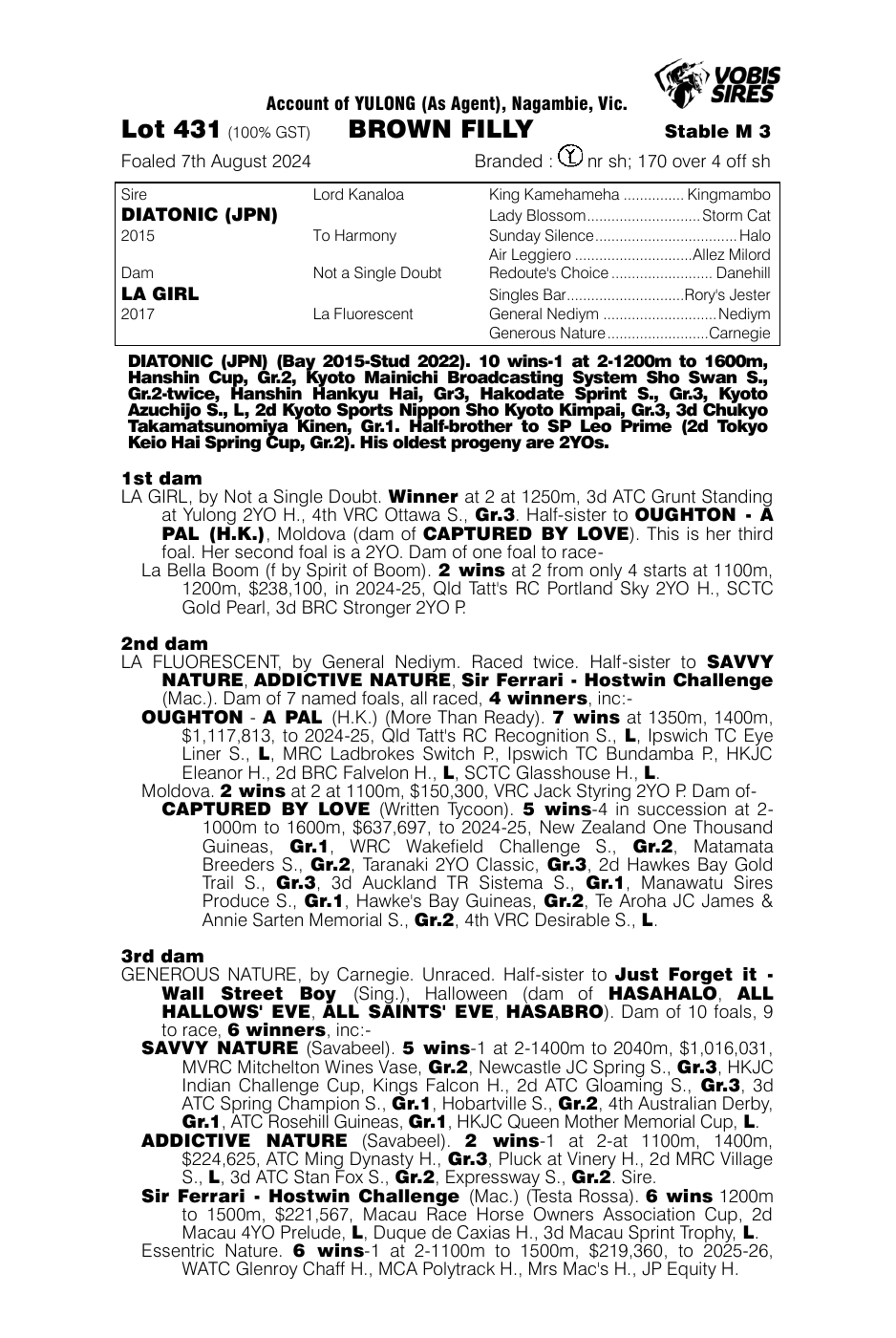 Pedigree - Lot 431