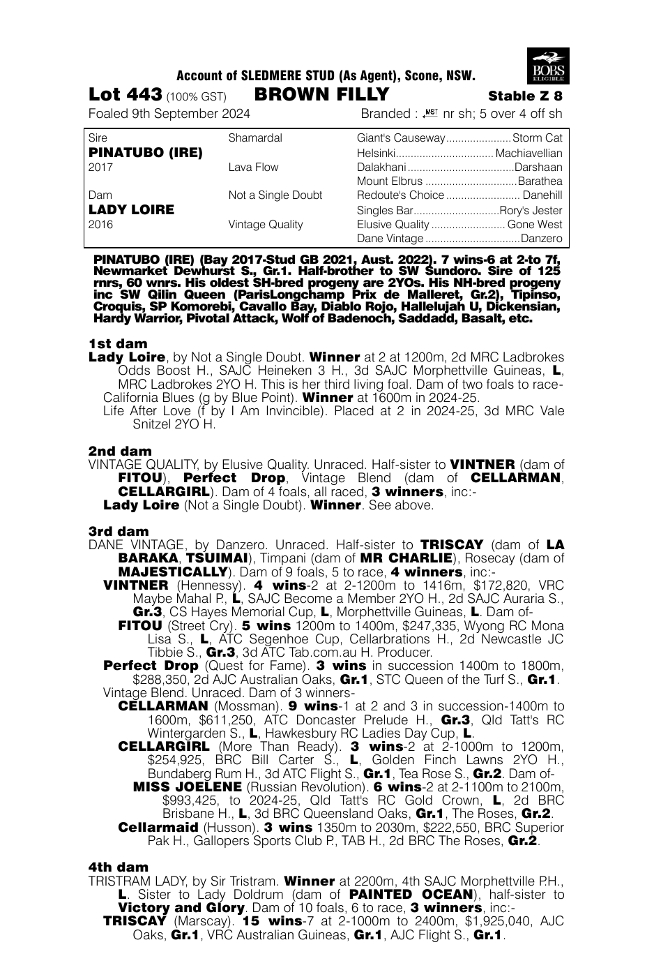 Pedigree - Lot 443
