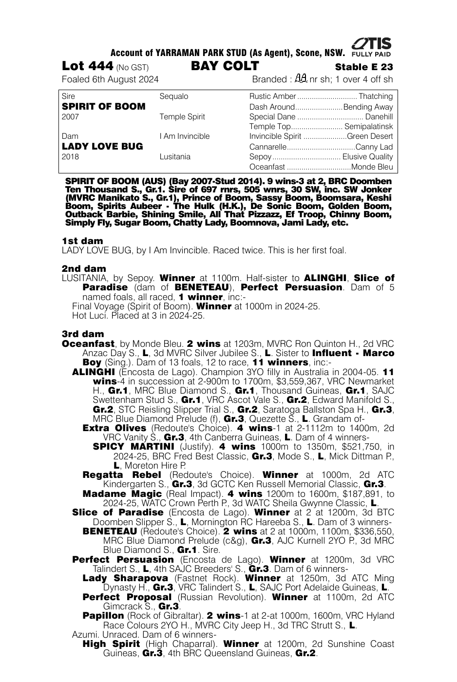 Pedigree - Lot 444