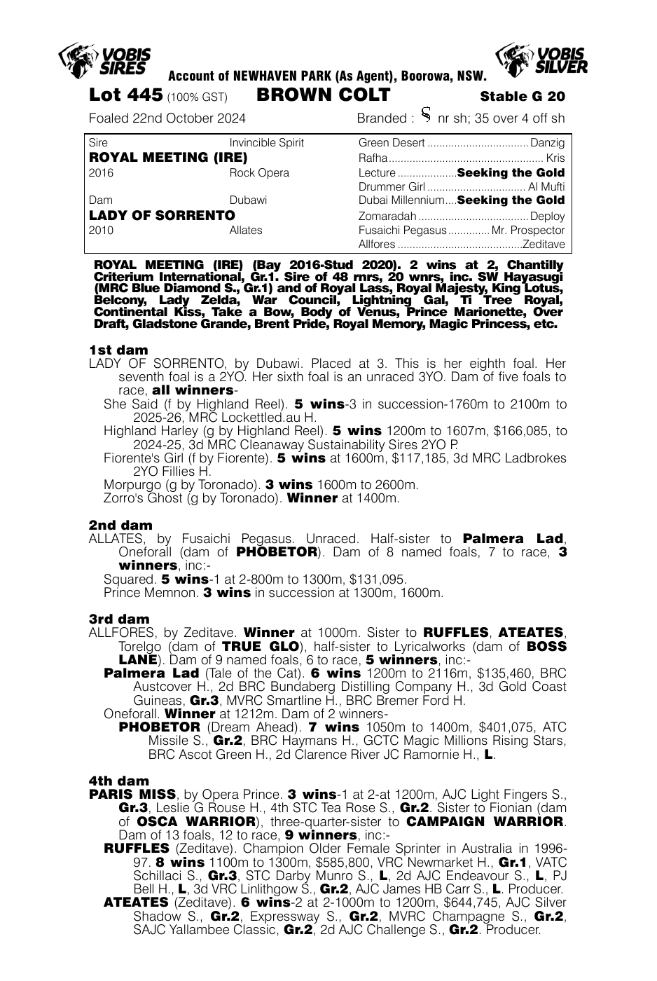Pedigree - Lot 445