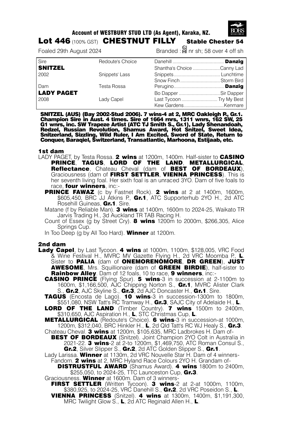 Pedigree - Lot 446