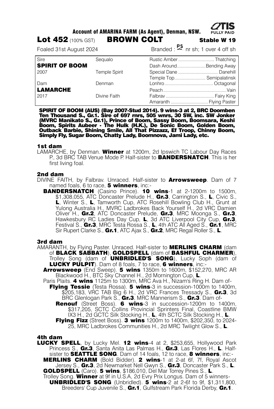 Pedigree - Lot 452