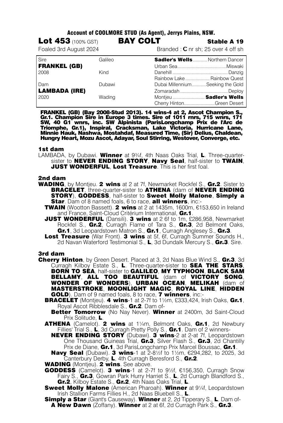 Pedigree - Lot 453