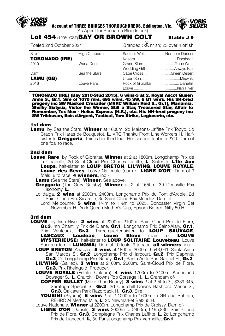 Pedigree - Lot 454