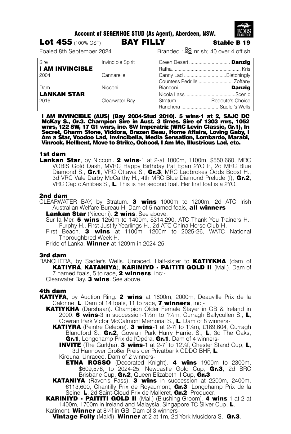 Pedigree - Lot 455