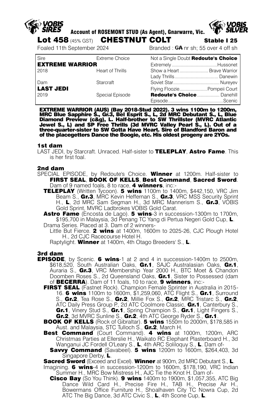 Pedigree - Lot 458