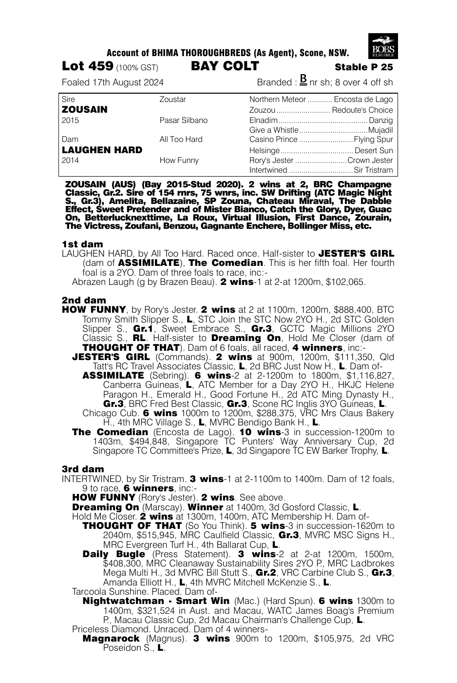 Pedigree - Lot 459
