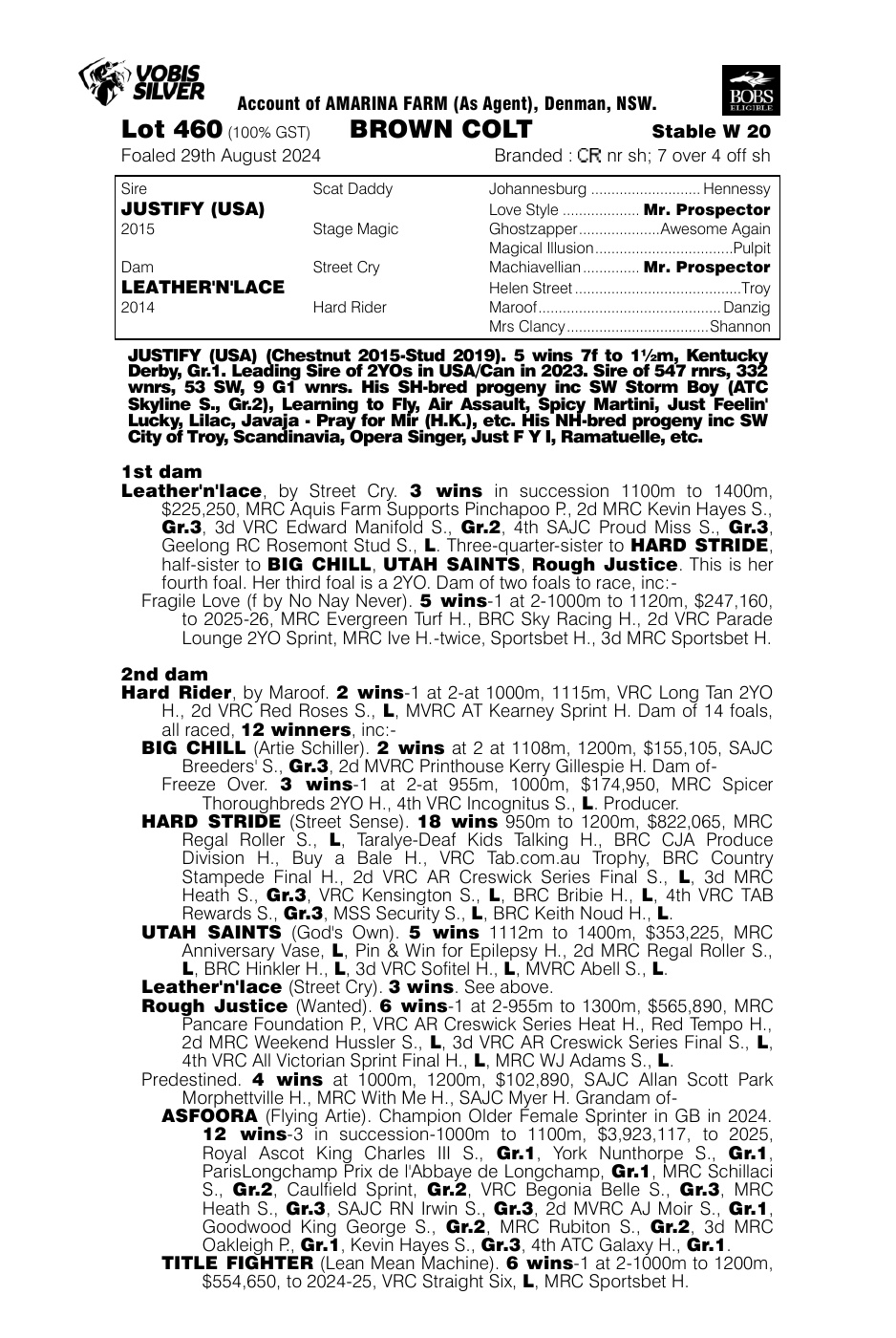 Pedigree - Lot 460