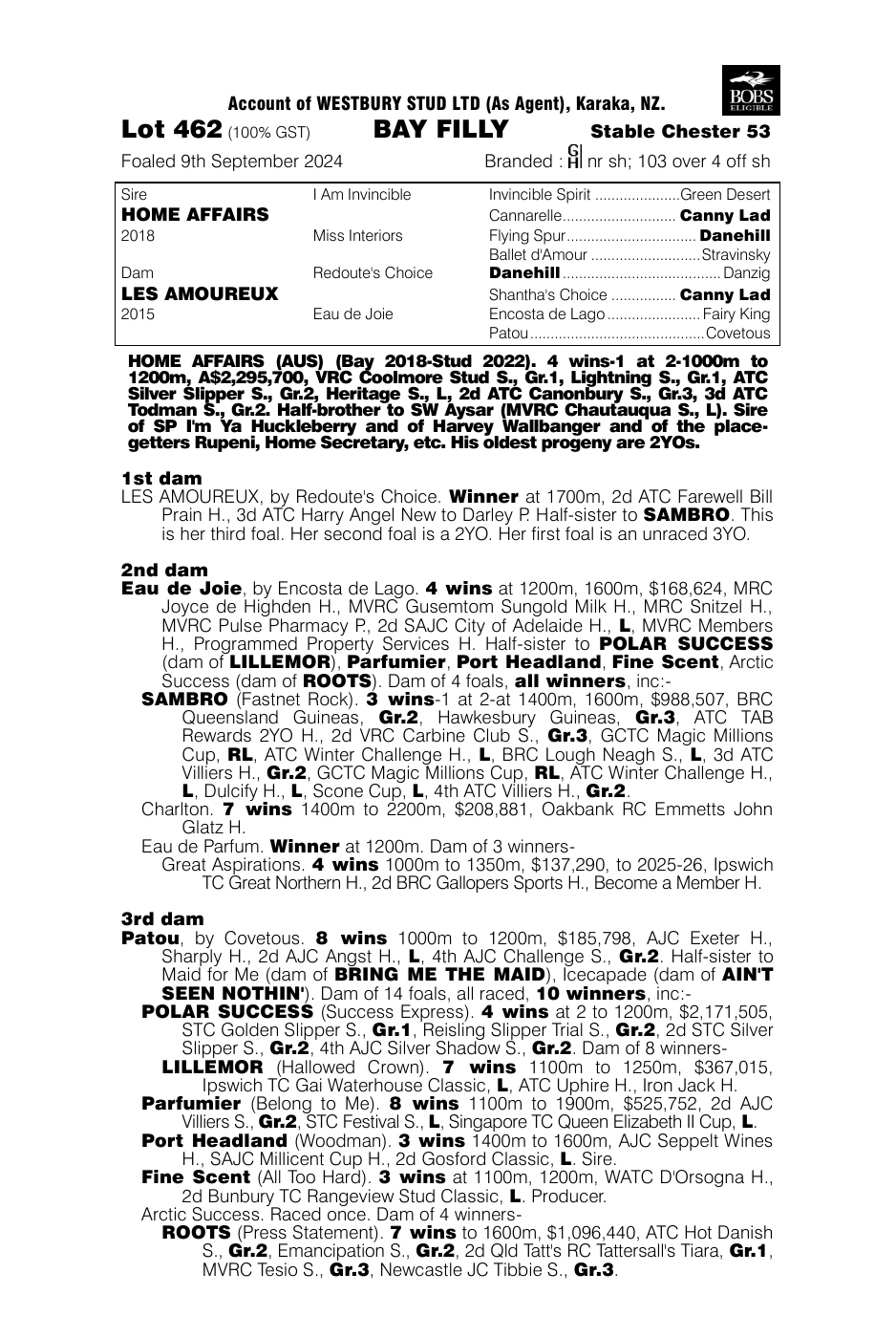 Pedigree - Lot 462