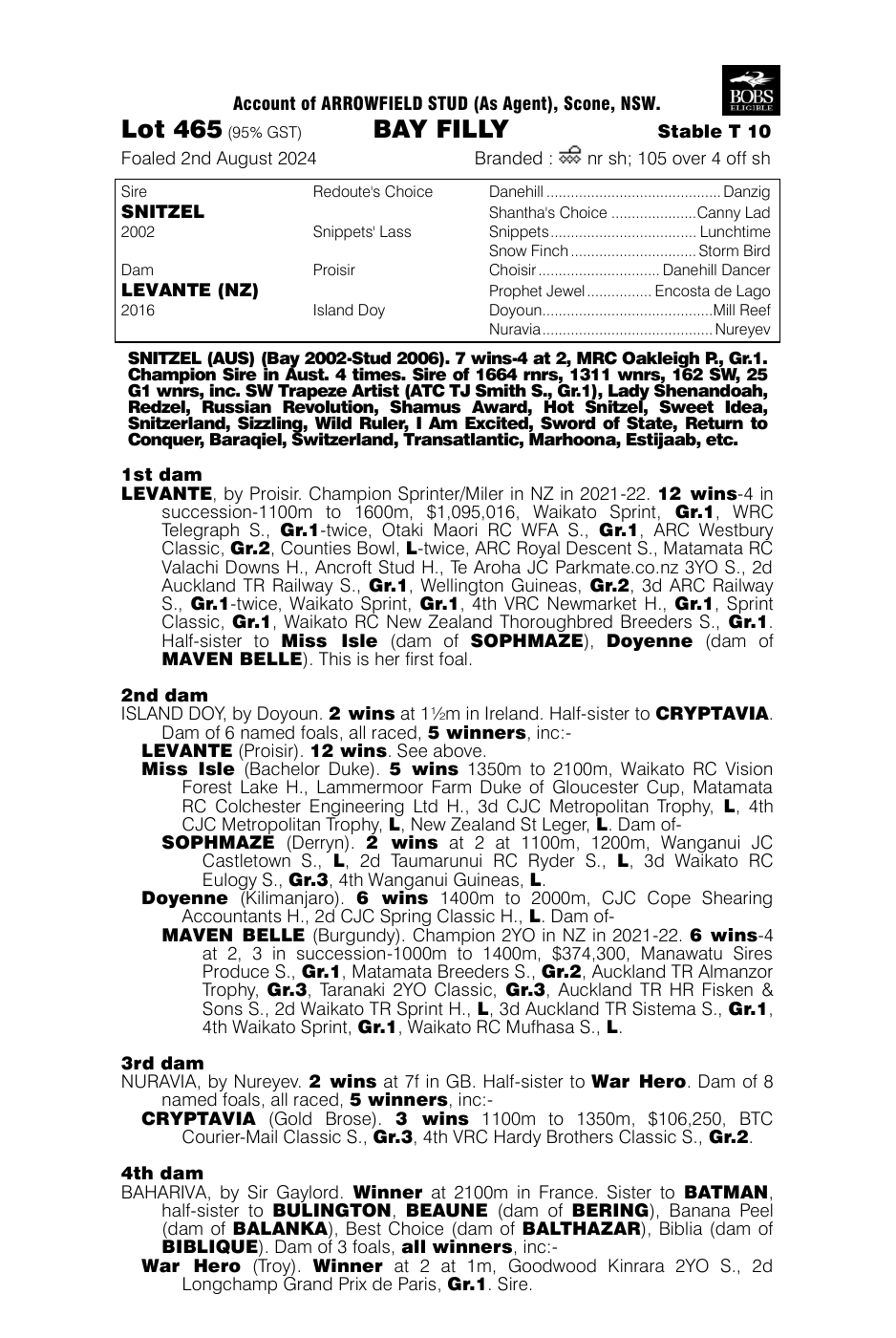 Pedigree - Lot 465