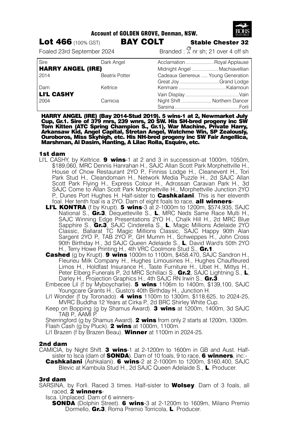 Pedigree - Lot 466