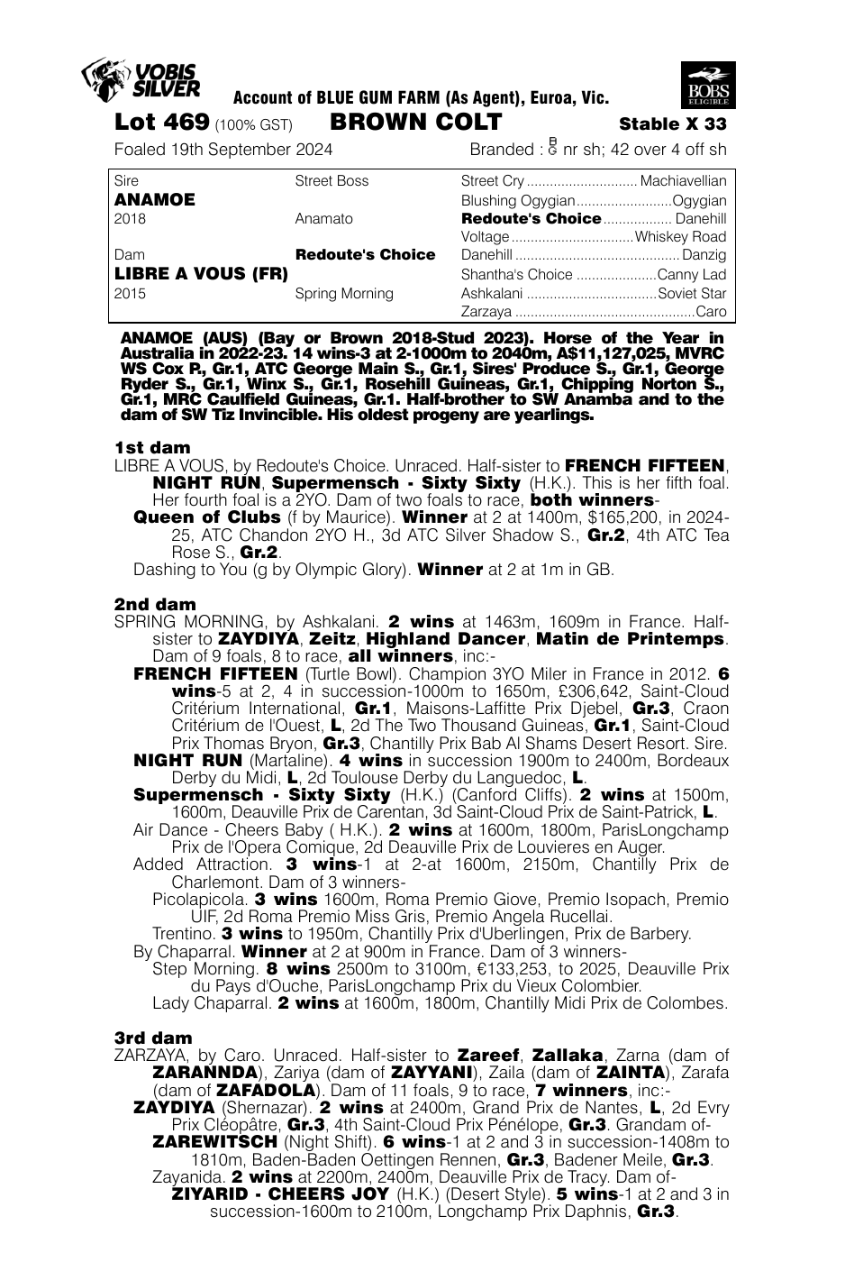 Pedigree - Lot 469