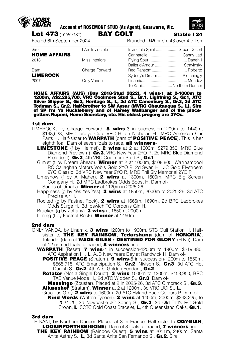 Pedigree - Lot 473