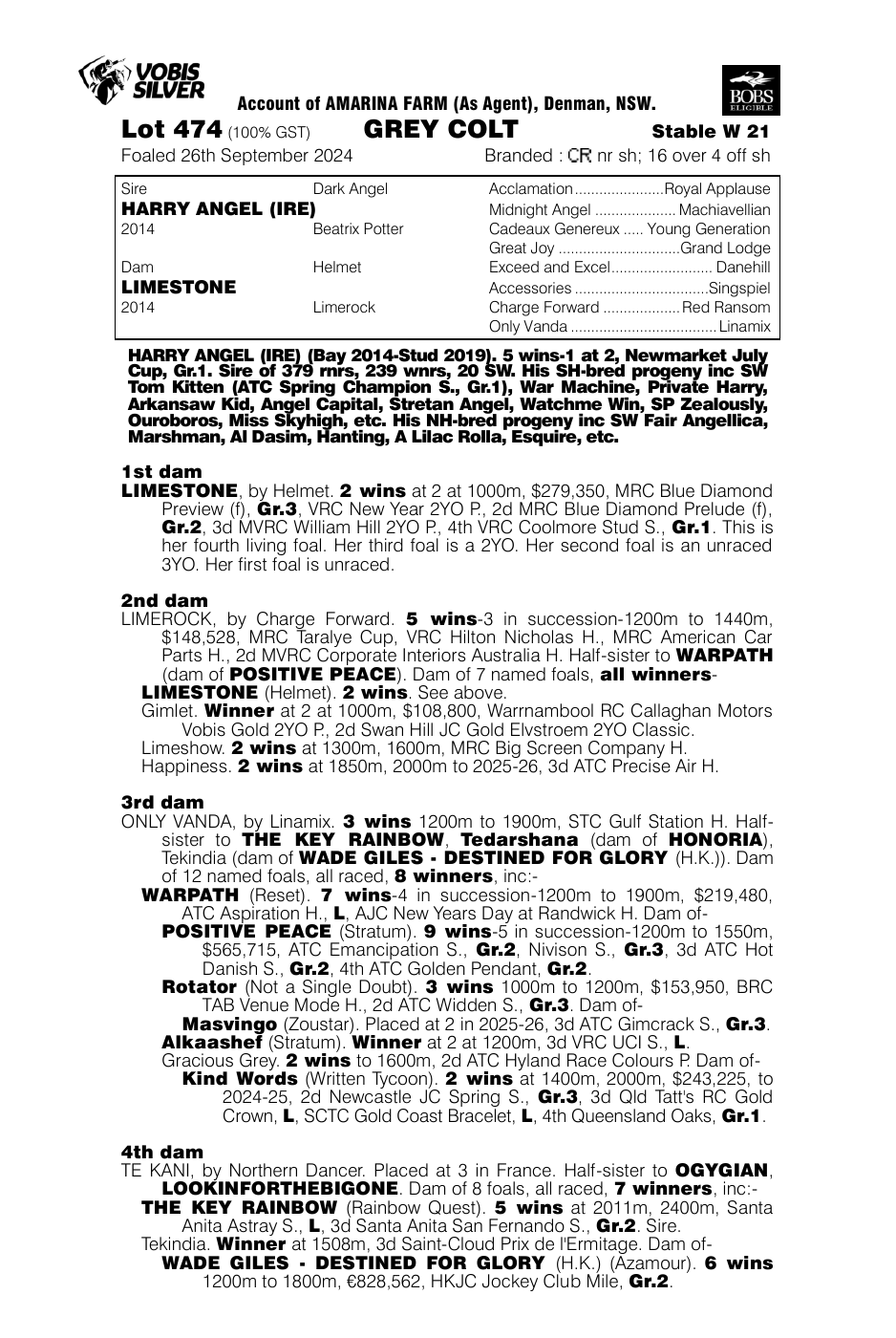Pedigree - Lot 474
