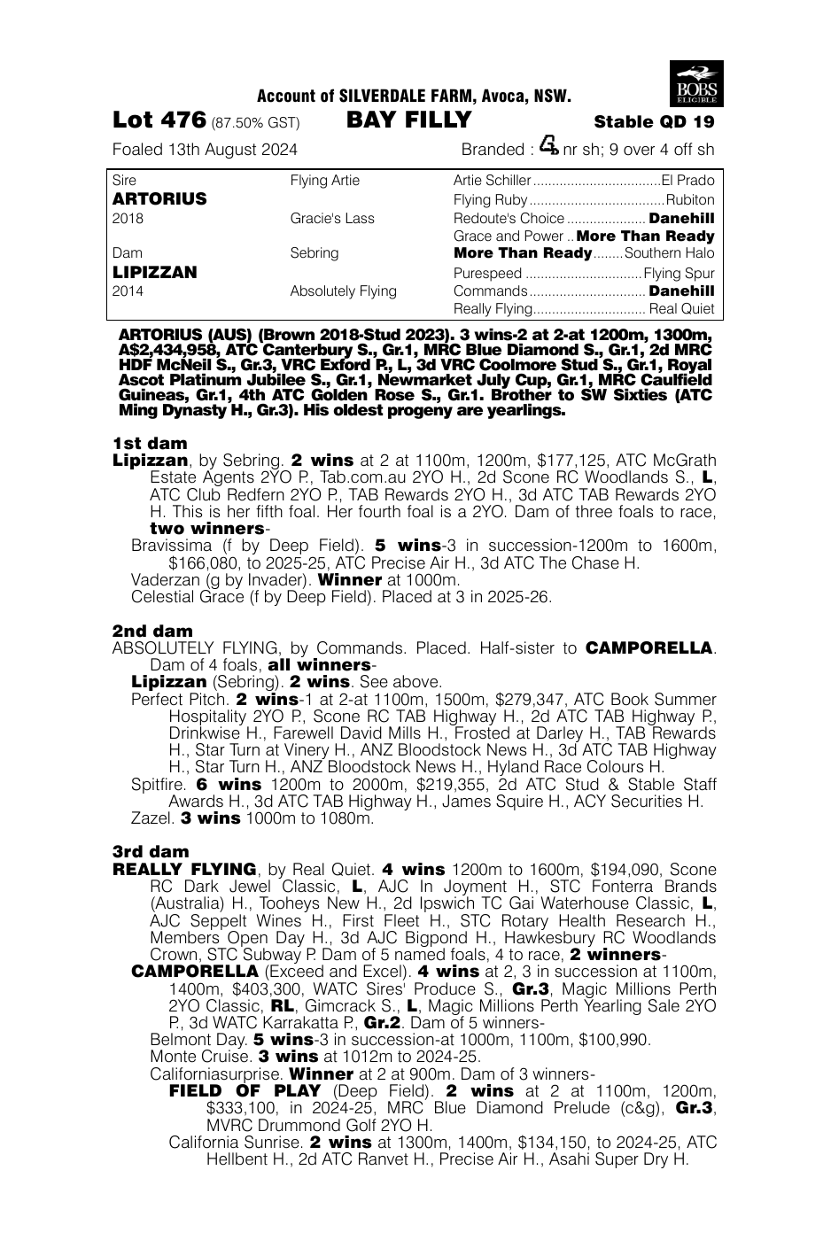 Pedigree - Lot 476