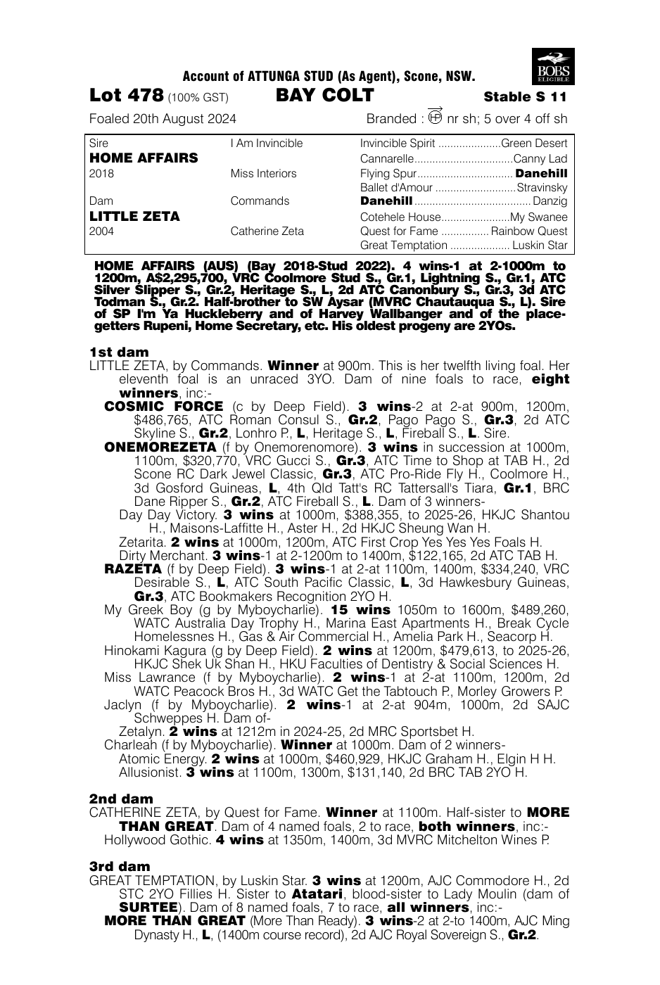 Pedigree - Lot 478