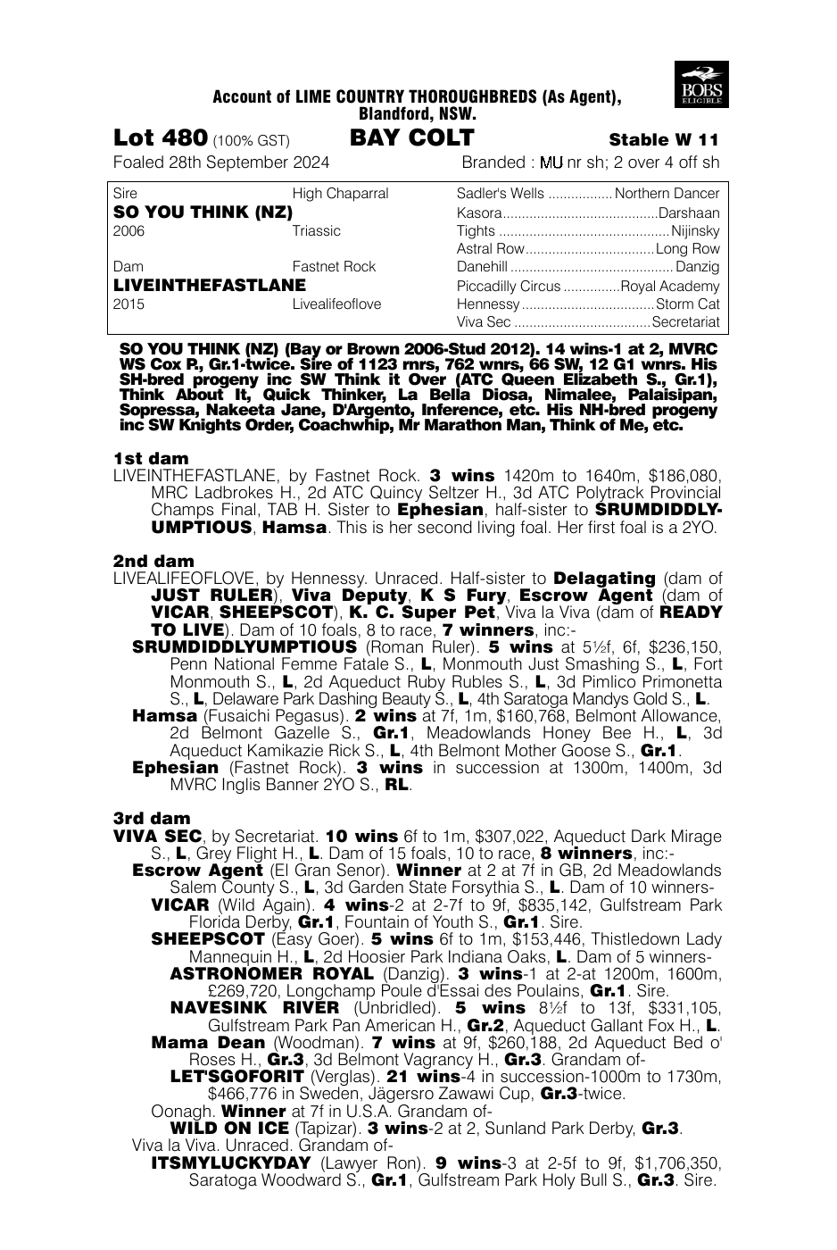 Pedigree - Lot 480