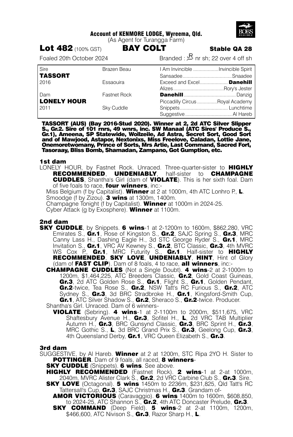 Pedigree - Lot 482