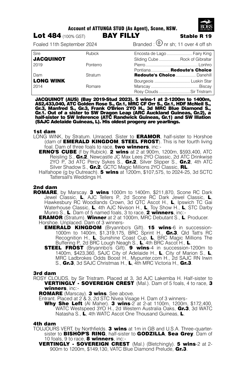Pedigree - Lot 484