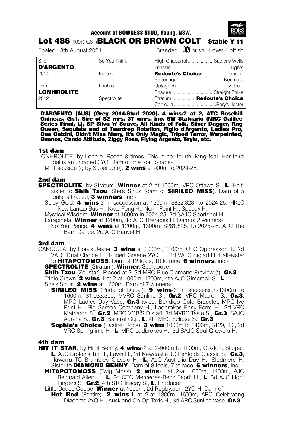 Pedigree - Lot 486