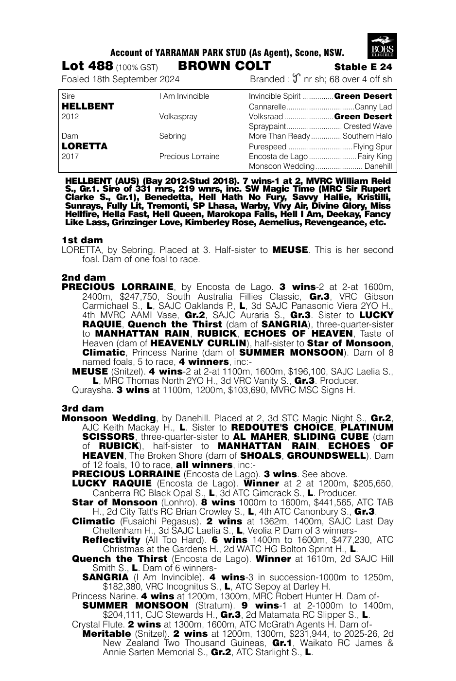 Pedigree - Lot 488