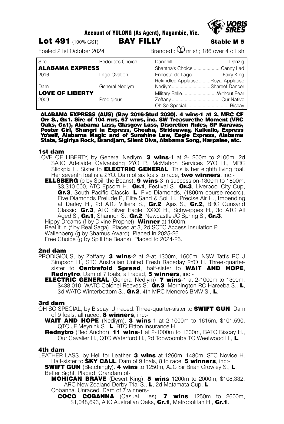 Pedigree - Lot 491
