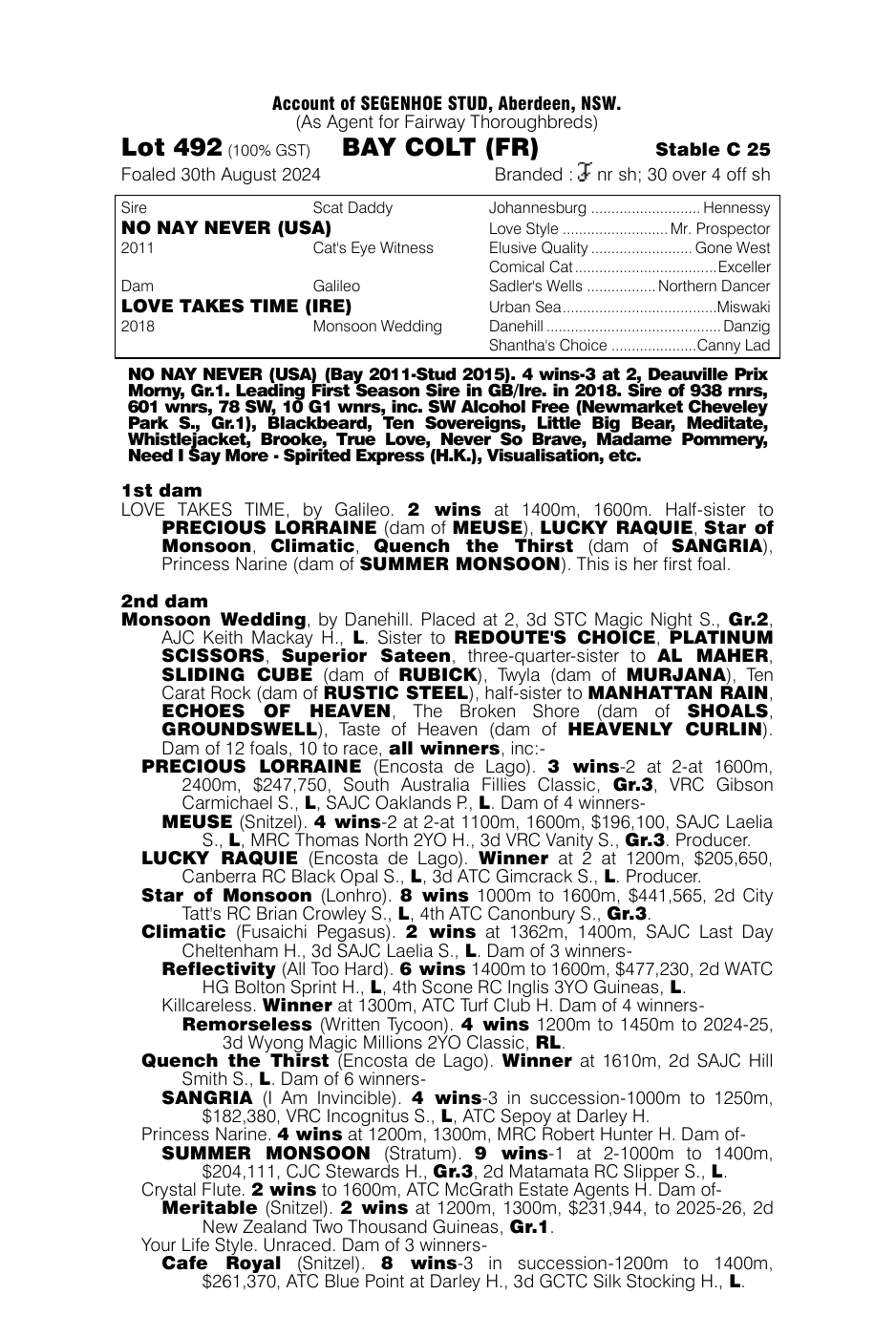 Pedigree - Lot 492