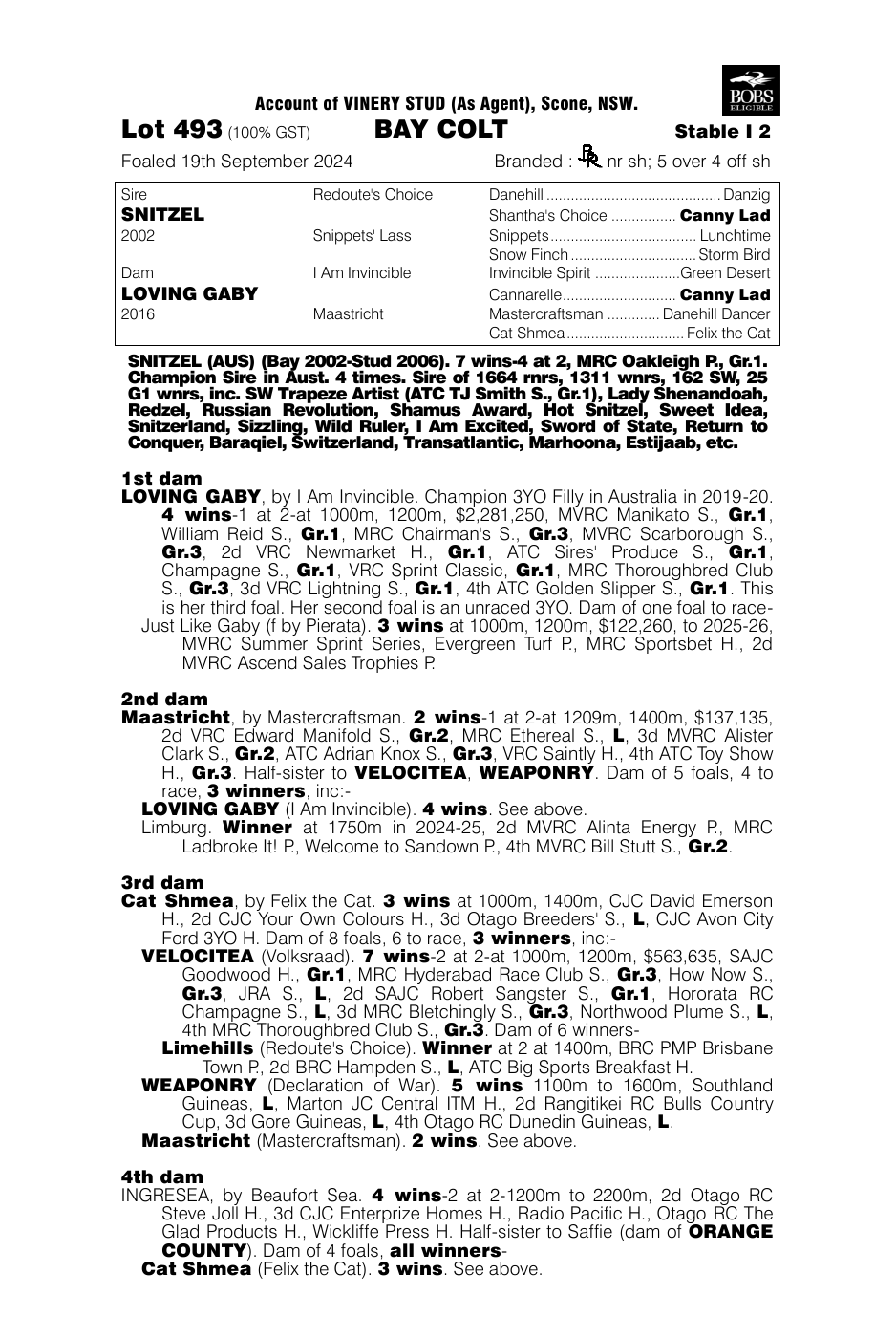 Pedigree - Lot 493