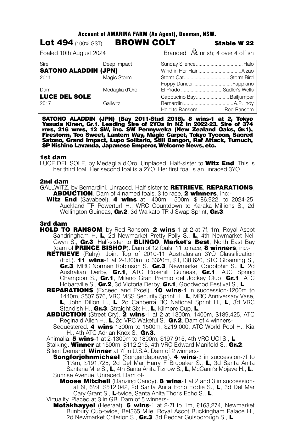 Pedigree - Lot 494