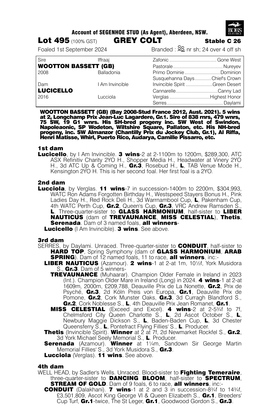 Pedigree - Lot 495