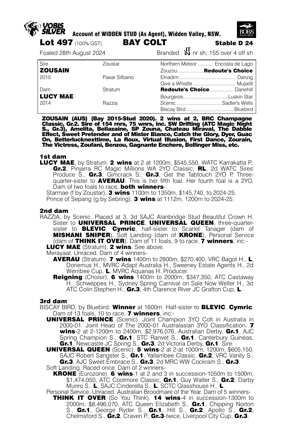 Pedigree - Lot 497