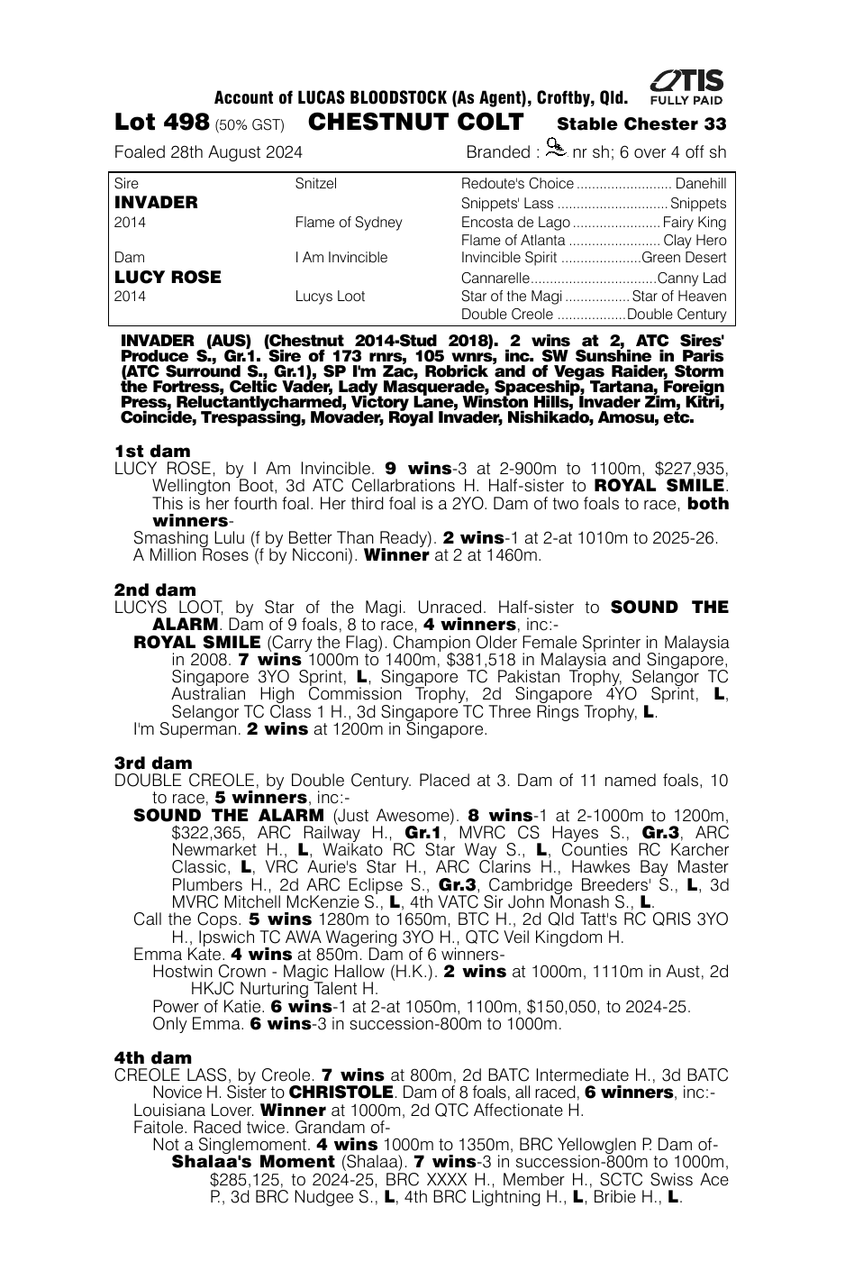 Pedigree - Lot 498