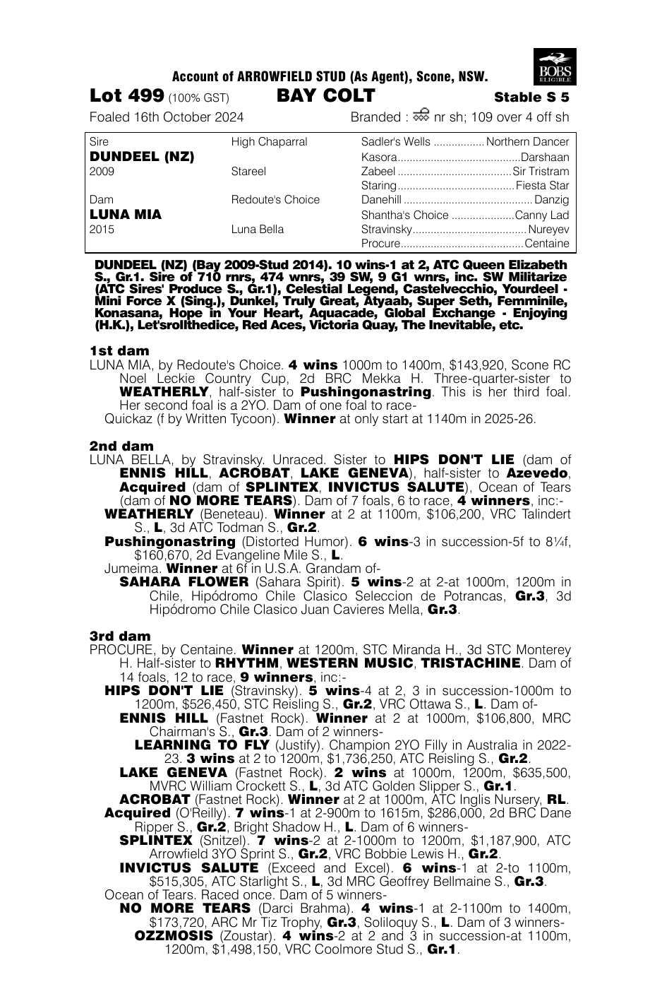 Pedigree - Lot 499