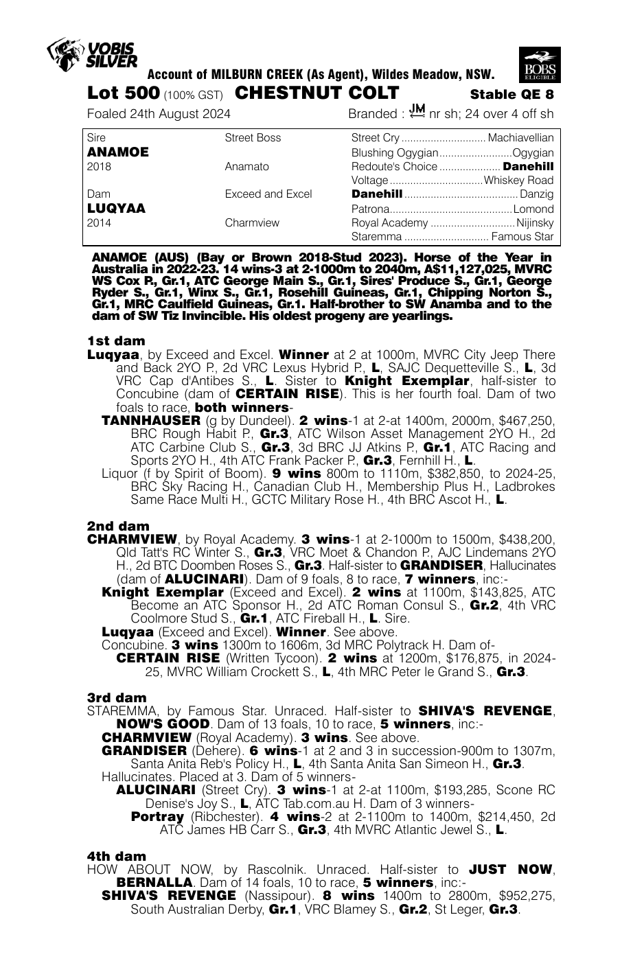 Pedigree - Lot 500