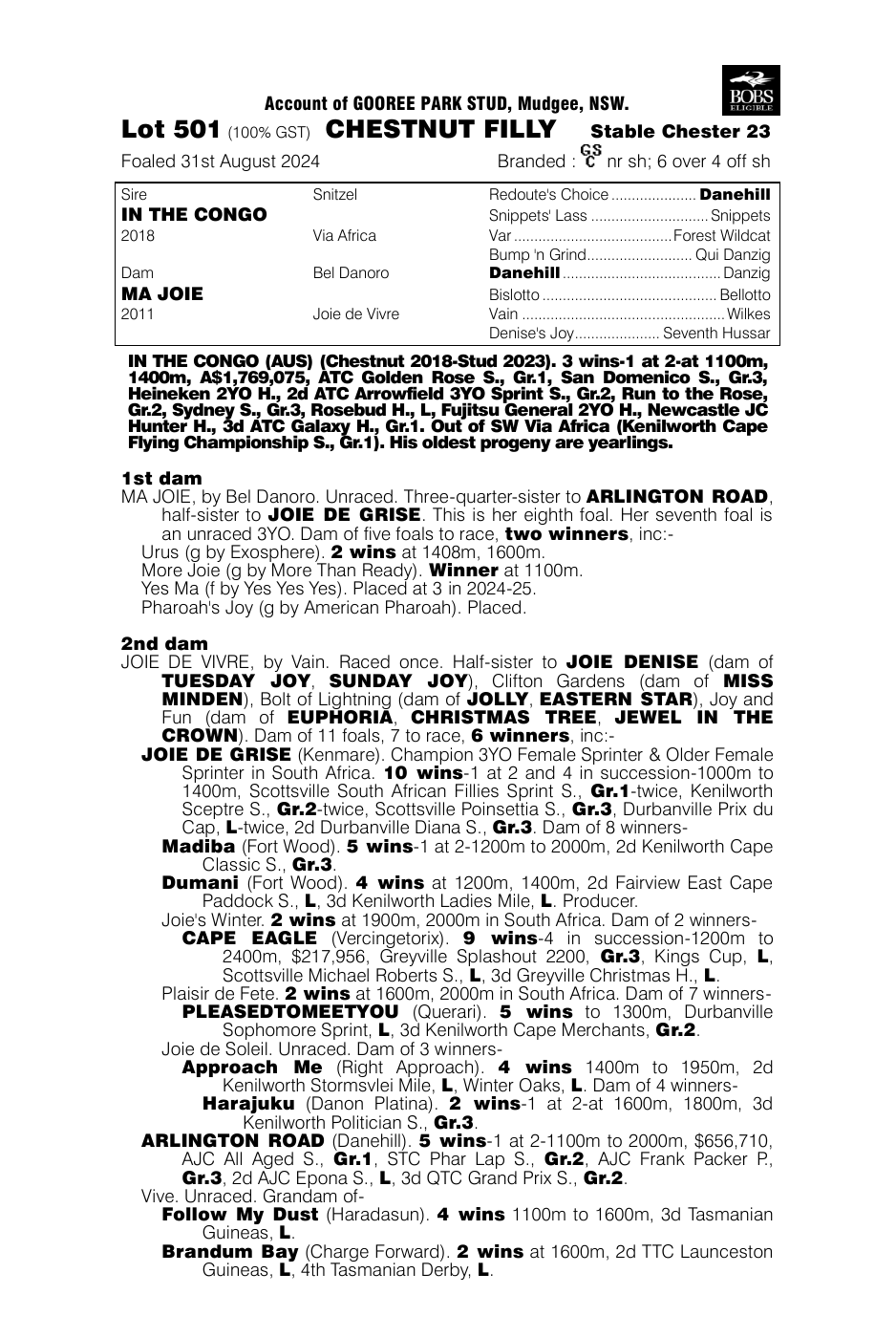 Pedigree - Lot 501