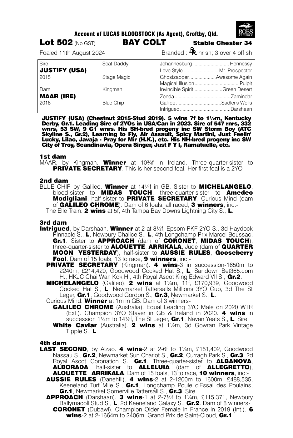 Pedigree - Lot 502