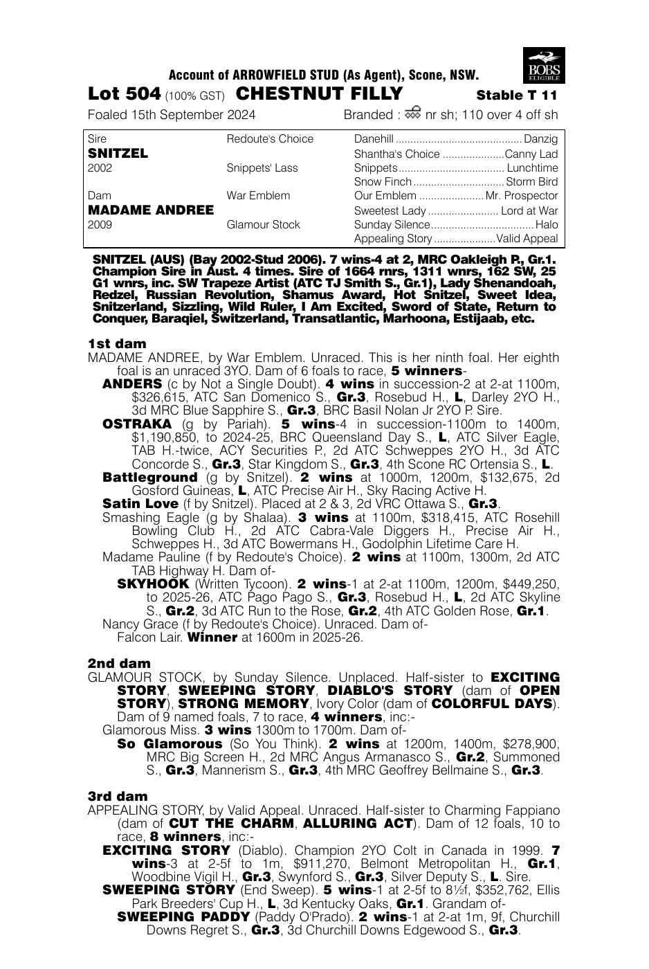 Pedigree - Lot 504