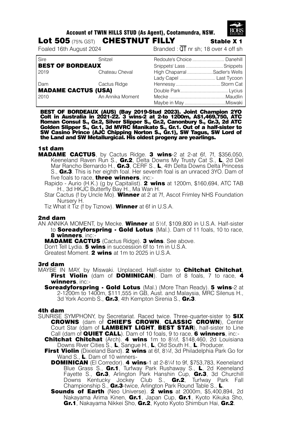 Pedigree - Lot 505