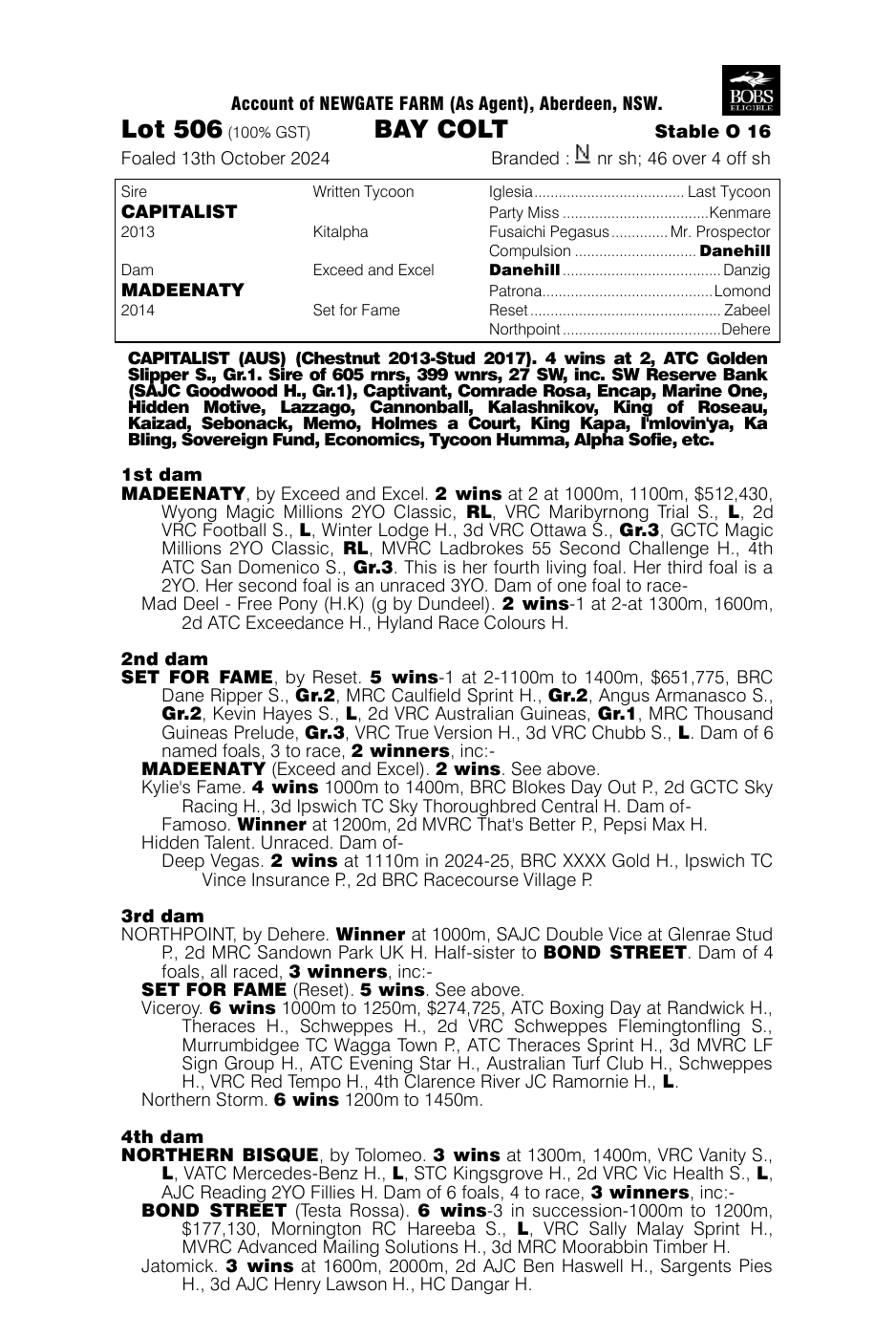 Pedigree - Lot 506