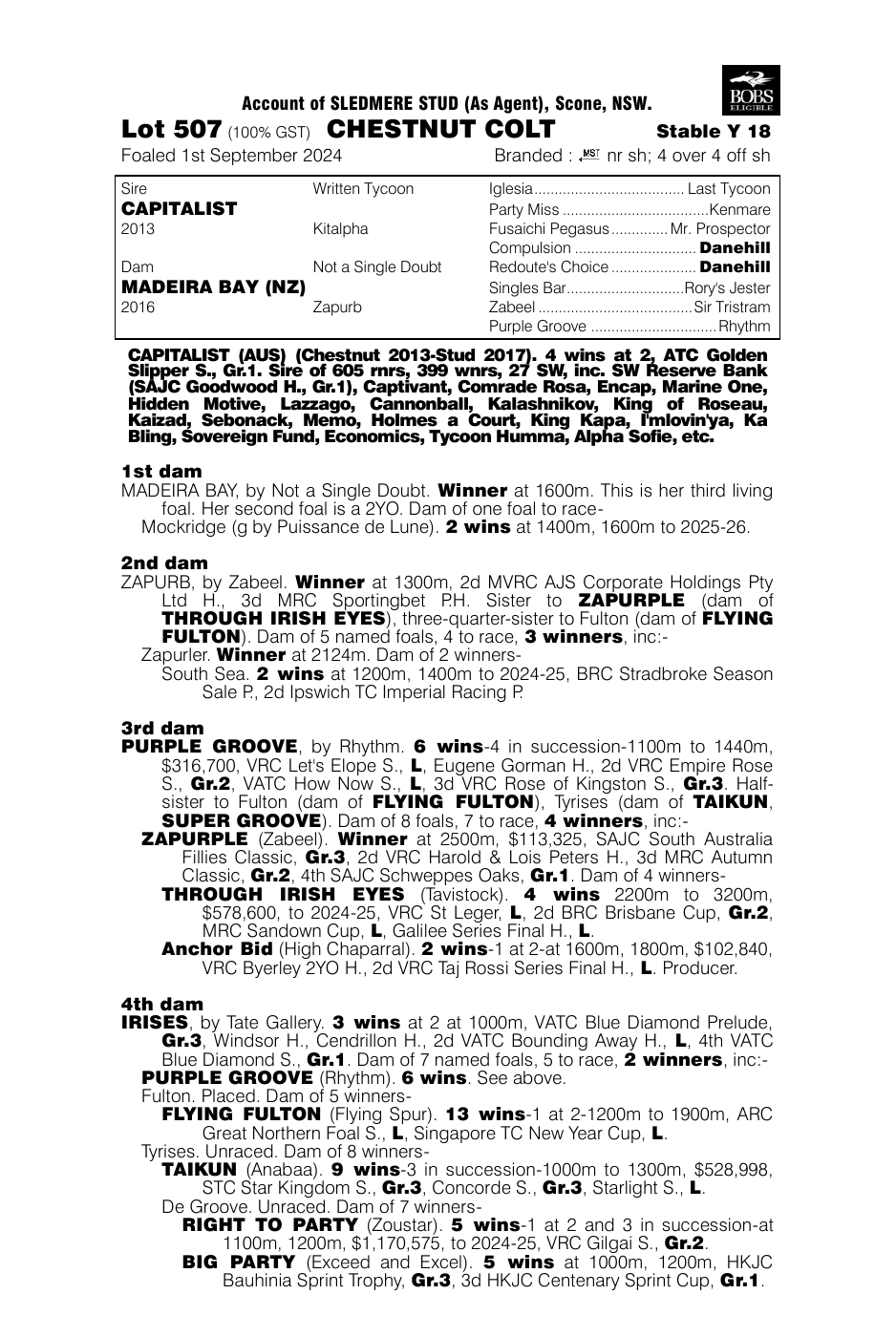 Pedigree - Lot 507